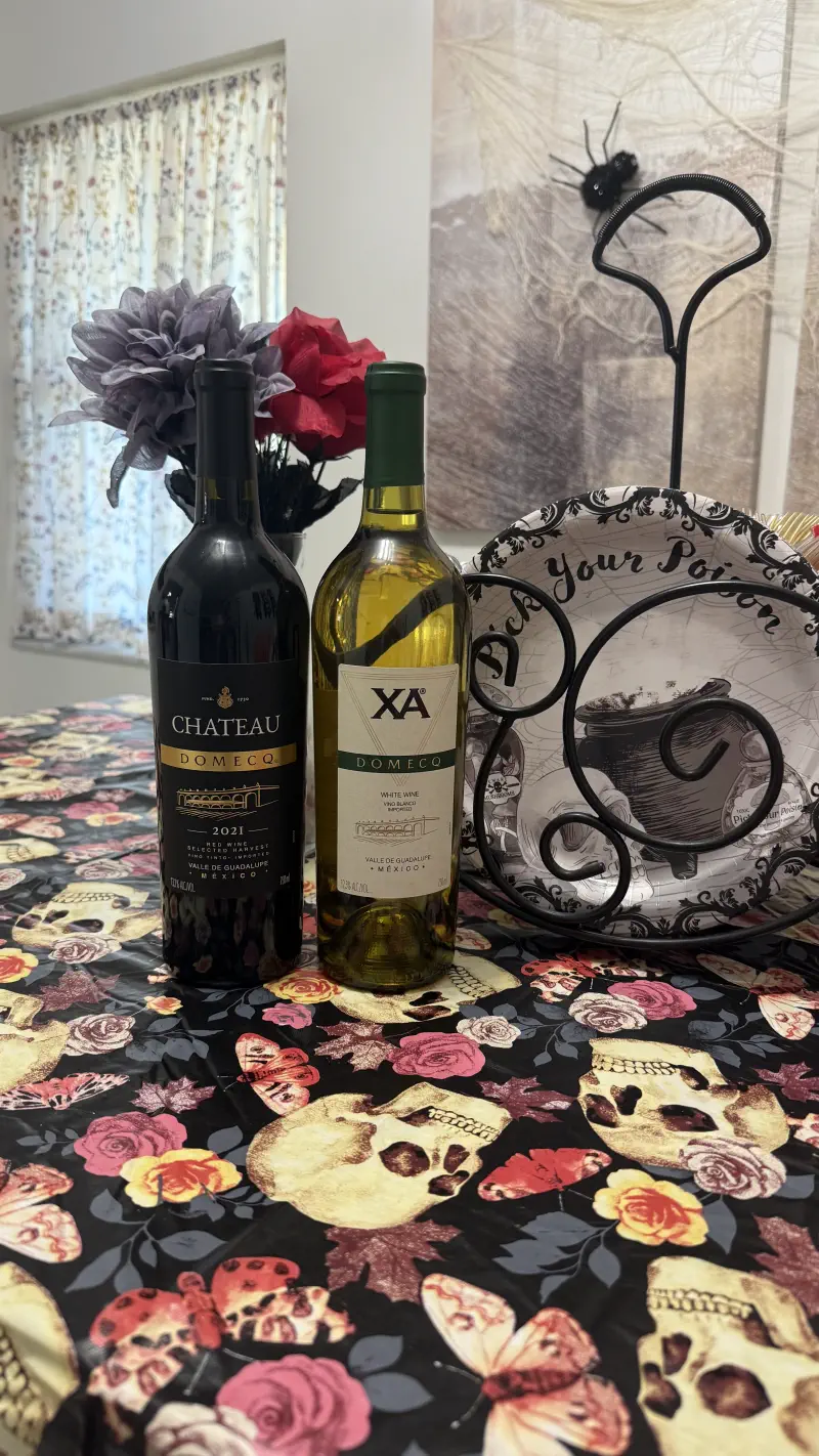 Celebrating Mexican Wines – The Wine Couple’s Experience